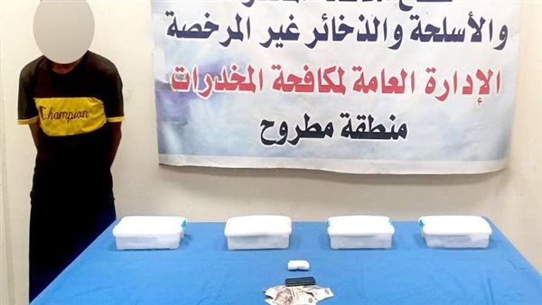 سقوط عنصر إجرامي