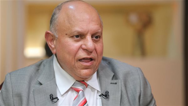 هاني محمود، وزير