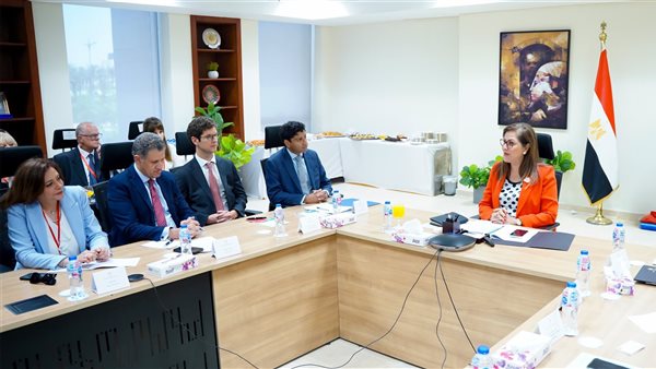 وزيرة التخطيط تلتقي