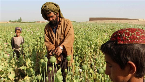 صورة ارشيفية 