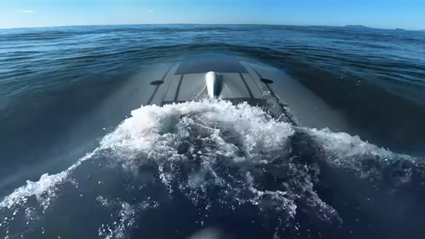 شيطان البحر 