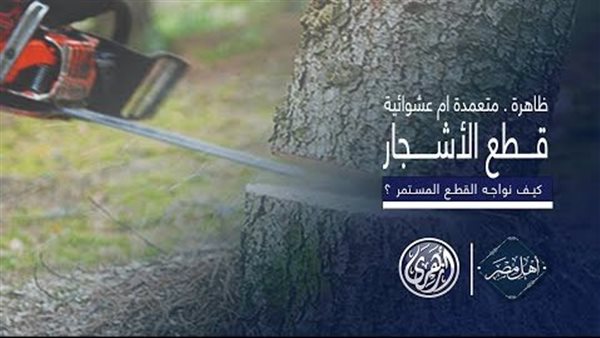 عن قطع الأشجار 