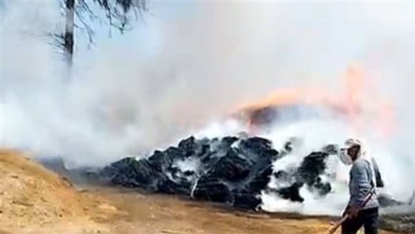 حريق فى إحدى شون