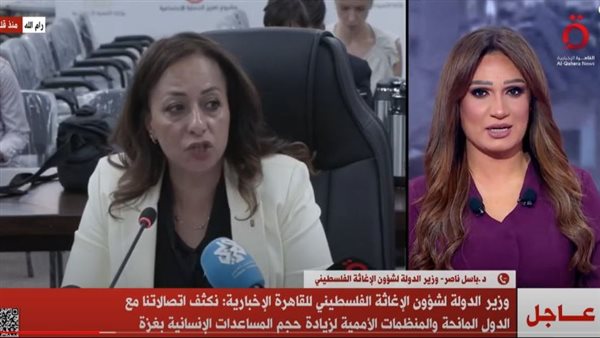 القاهرة الإخبارية