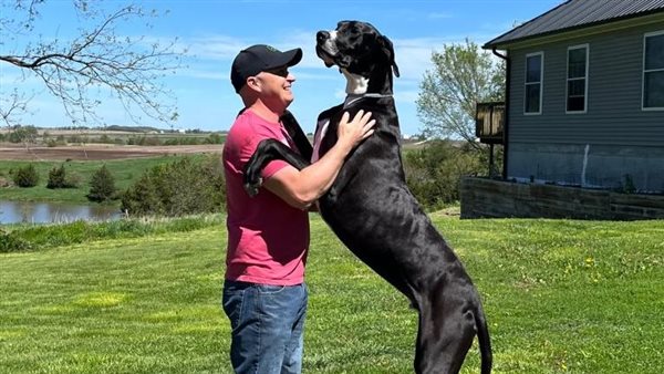 أطول كلب ف العالم