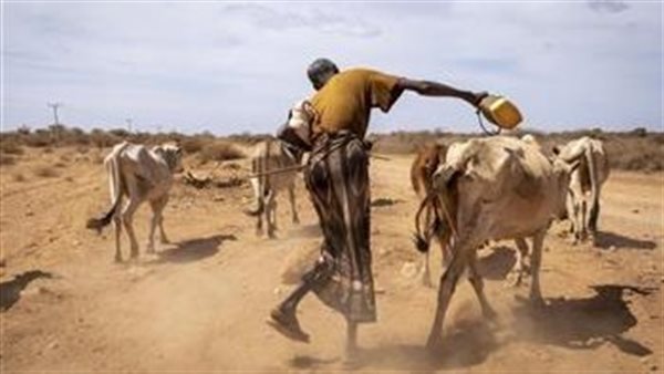 منطقة القرن الأفريقي