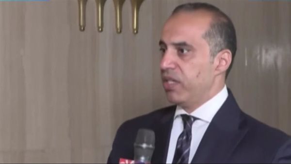 المستشار محمود فوزي،