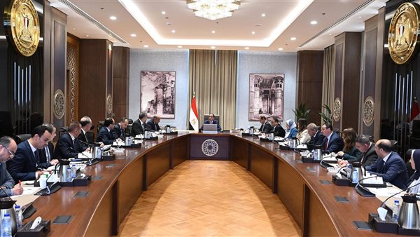 الحكومة الجديدة 