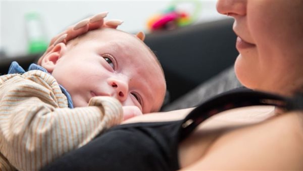 الرأس المسطح لدى