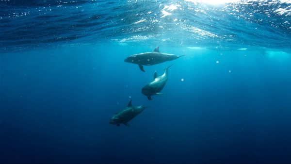 ارتفاع درجة حرارة