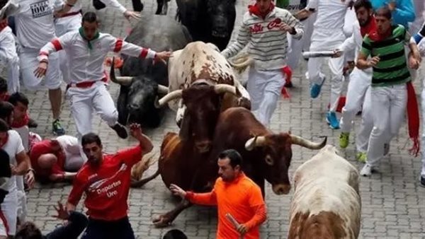 مهرجان ركض الثيران