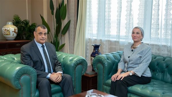 المهندس محمد صلاح