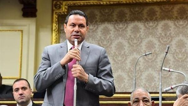 النائب هشام الحصري