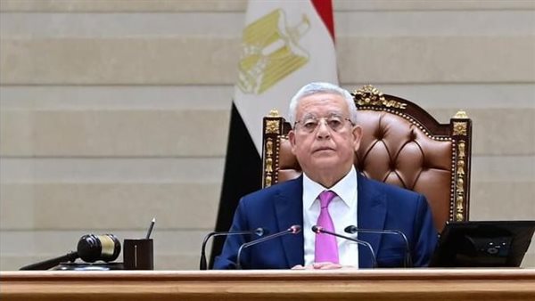 المستشار الدكتور