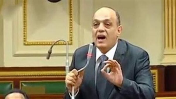 النائب محمد مرعي