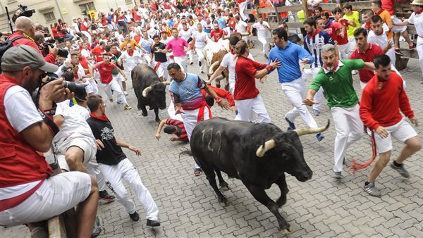 سباق الثيران