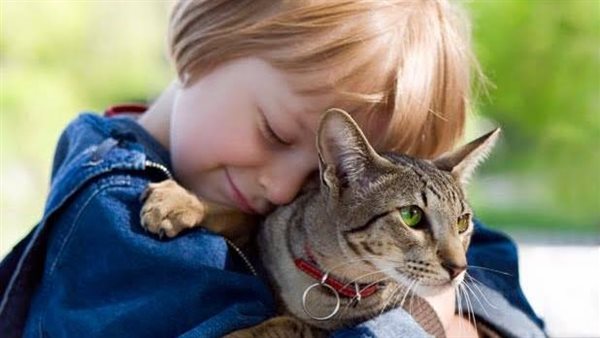 القطط والاطفال