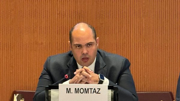 الدكتور محمود ممتاز