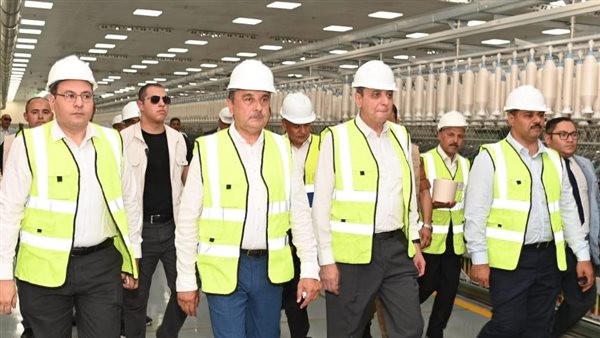 وزير قطاع الأعمال