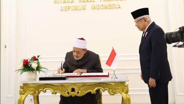 شيخ الأزهر ونائب