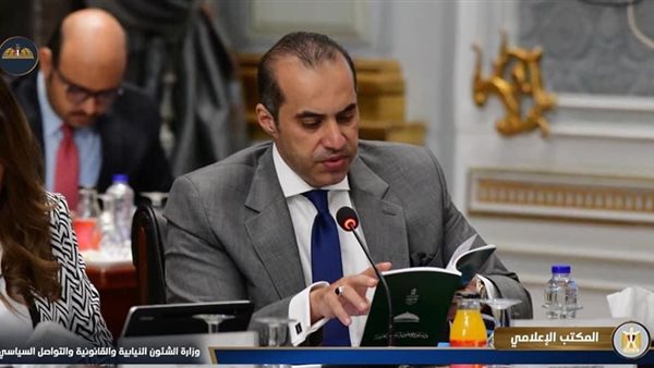 المستشار محمود فوزي