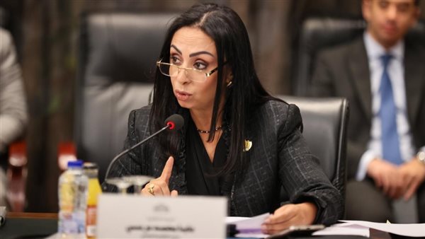 وزيرة التضامن