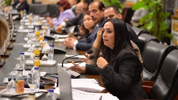 وزيرة التضامن