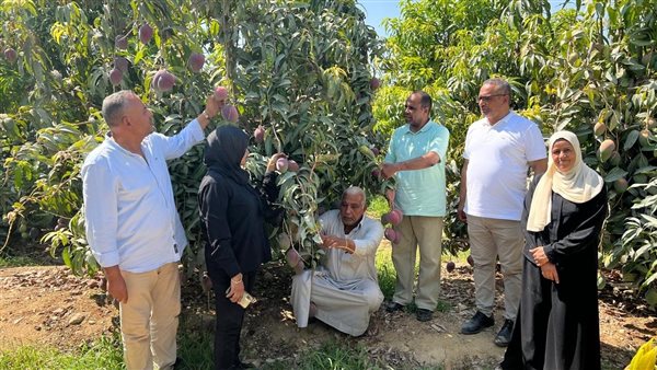 جولة تفقدية لمسئولي