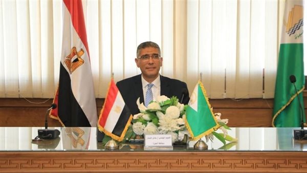 محافظ الجيزة 