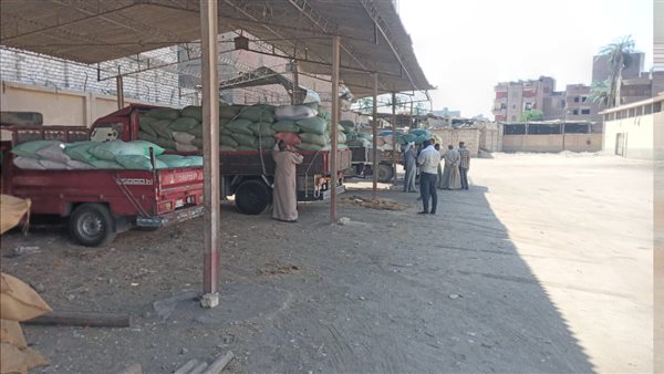 صورة من الحدث