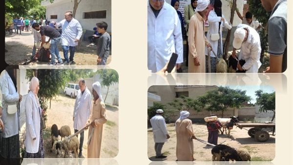 صورة من الحدث