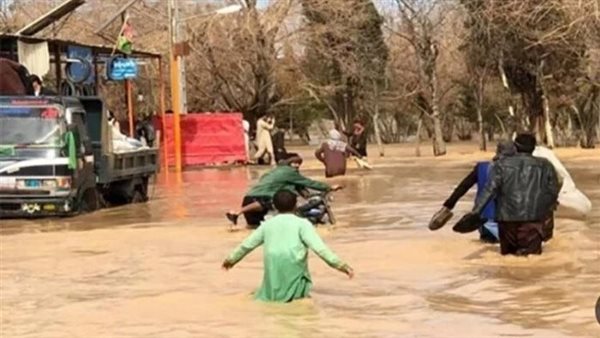 صورة من الحدث 