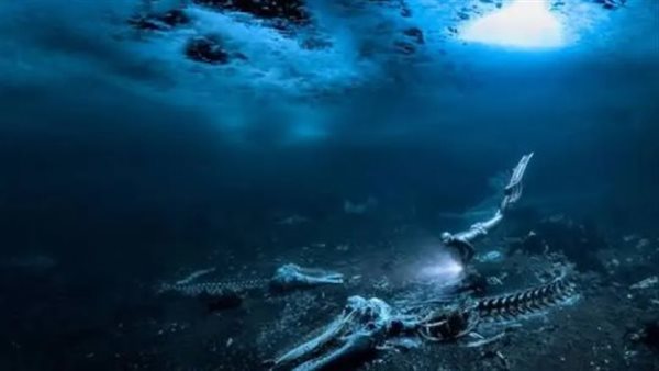 مقبرة الحيتان