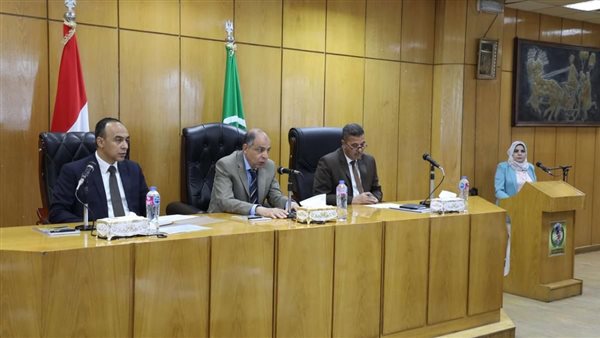 محافظ المنيا