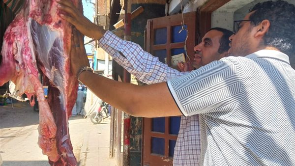 ضبط لحوم وأسماك غير