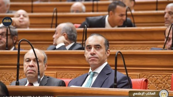 المستشار محمود فوزي