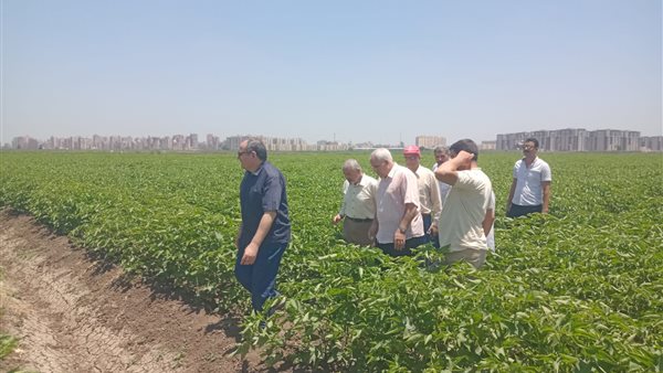 صورة خلال الزيارة