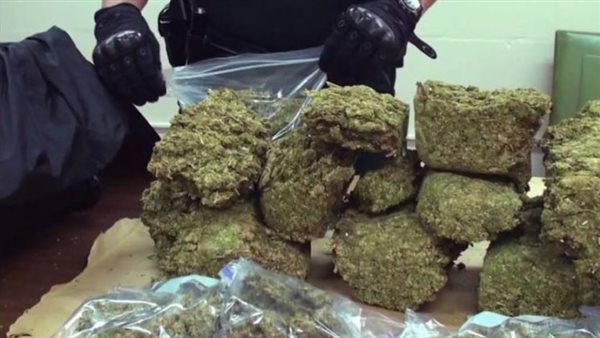 عبوات الماريجوانا