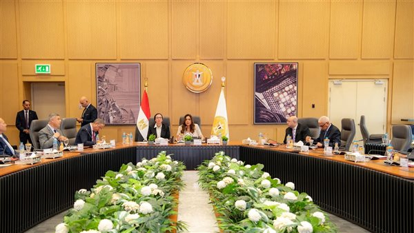 اجتماع وزيرة التنمية