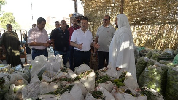 جولة المحافظ