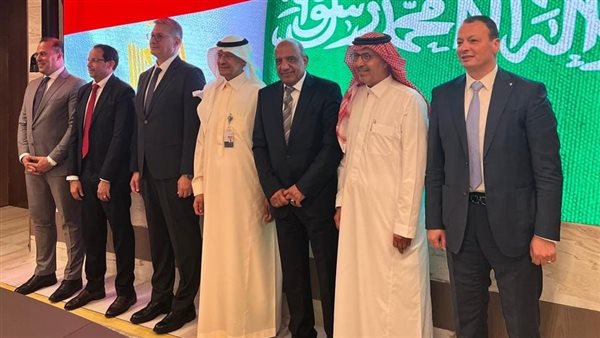 مشروع الربط الكهربائي