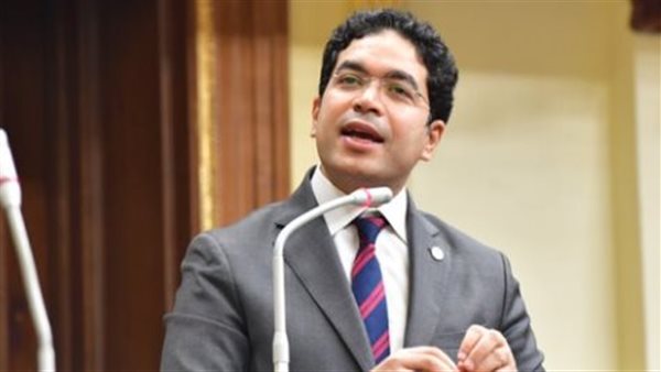 النائب ضياء الدين