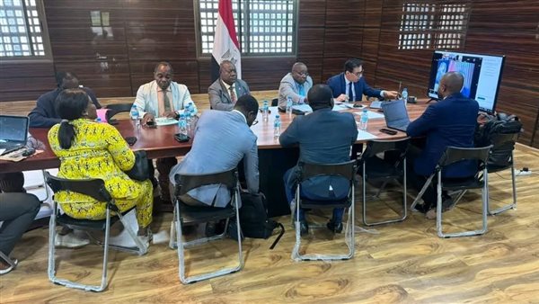 اللجنة العليا المصرية