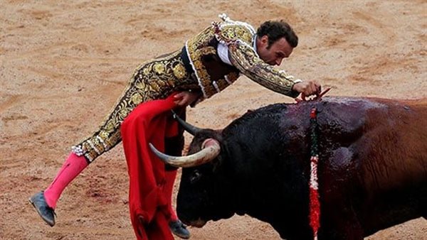 مصارعة الثيران 