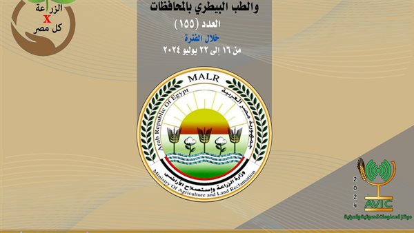 انفوجراف 