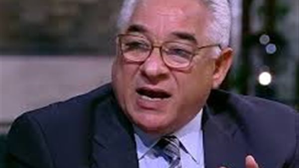  السفير علي الحفني