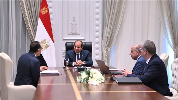 الرئيس السيسي ود.