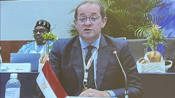 وزير المالية