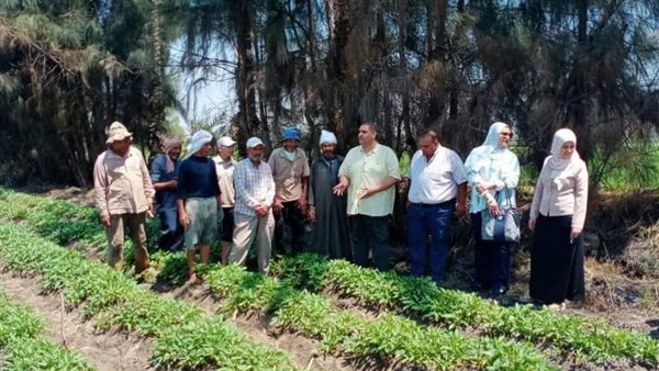 الفرق الإرشادية الريفية