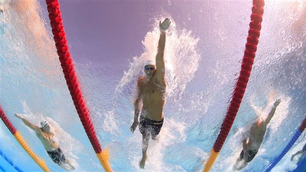 السباحة في اولمبياد